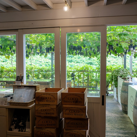 CocoFarm&Winery01.jpg