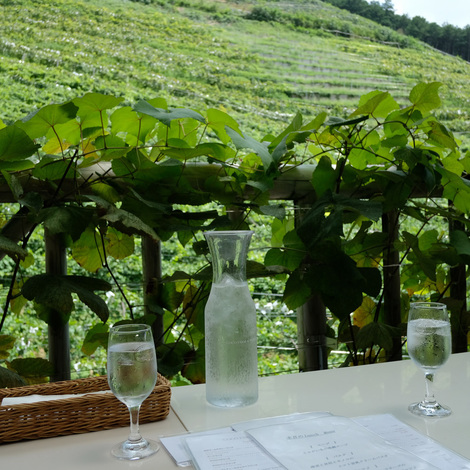 CocoFarm&Winery3.jpg