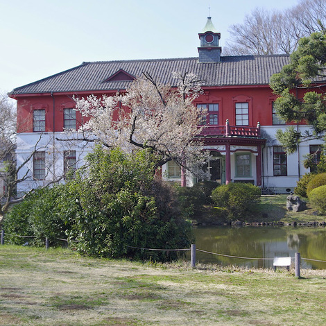 koishikawa-shokubutsuen2.jpg