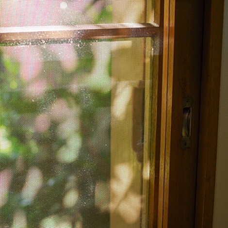 sunshine.jpg